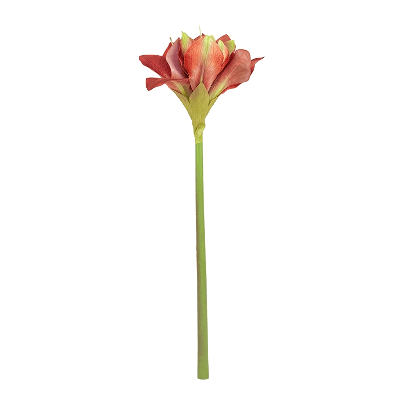Искусственный цветок Clivia Miniata Lily