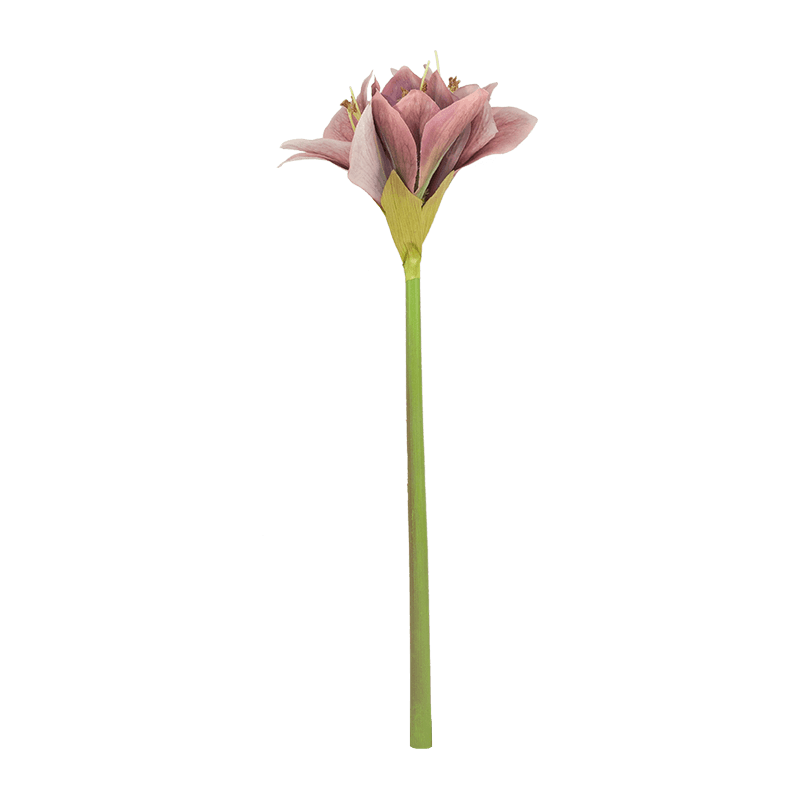 Искусственный цветок Clivia Miniata Lily