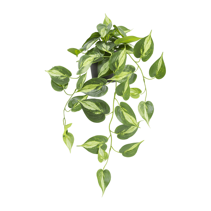Искусственные каскадные зеленые листья в полипропиленовом горшке 27,6